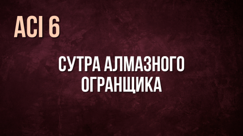 ACI 6 | с Женей и Юлей Беляевыми