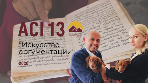 ACI 13