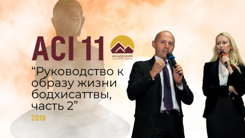 ACI 11