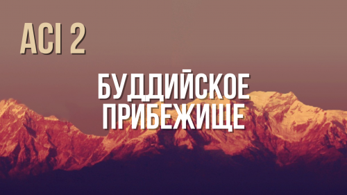 ACI 2 | с Женей и Юлей Беляевыми