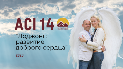 ACI 14 
