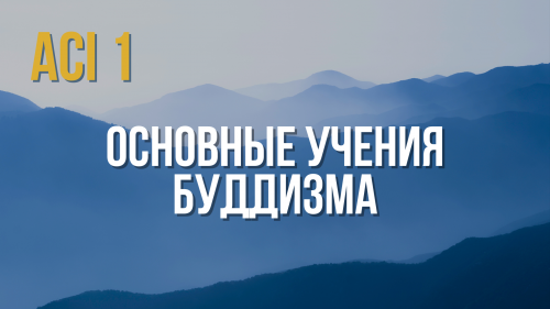 ACI 1 | с Женей и Юлей Беляевыми