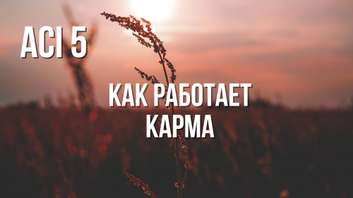 ACI 5 | с Женей и Юлей Беляевыми
