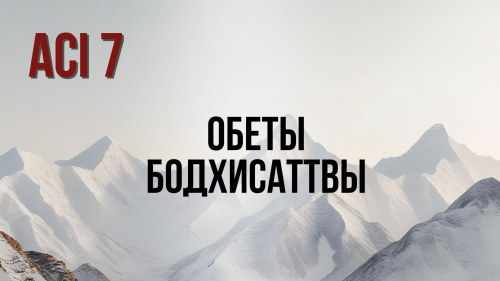 ACI 7 | с Женей и Юлей Беляевыми
